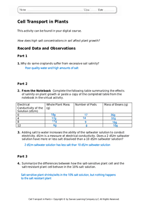 Cell Transport in Plant Cells