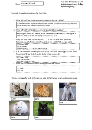 Cat Genetics Assignment