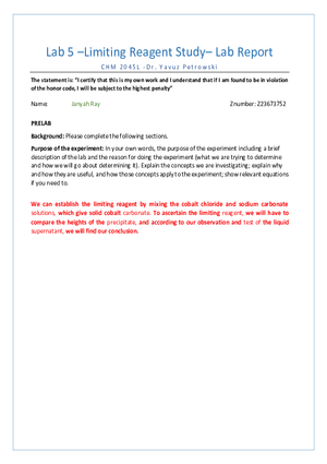 Lab 5 – Limiting Reagent Study - Lab Report