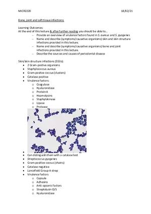 Bone, Joint and Soft Tissue Infections