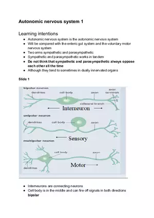 Autonomic Nervous System #1