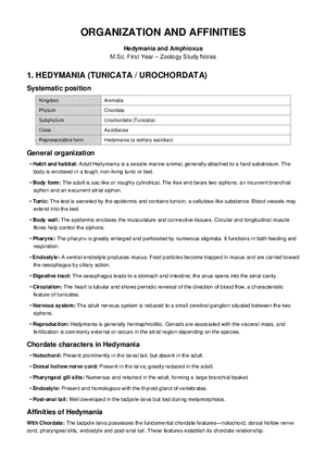 Organization and Affinities Hedymania and Amphioxus MSc I