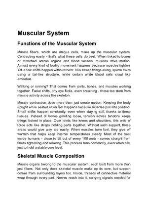 Functions of the Muscular System
