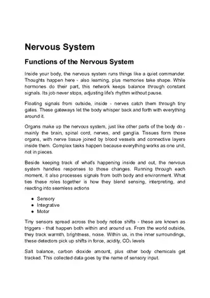 Functions of the Nervous System