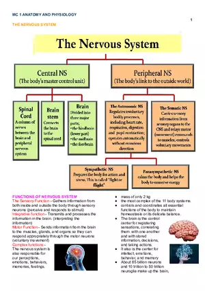 MC 1 Nervous System