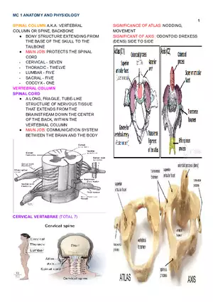 Mc 1 Spinal Cord