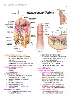 MC 1 Integumentary