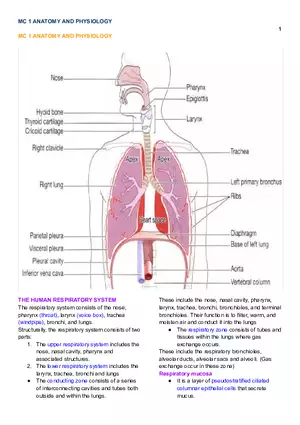 MC 1 Respiratory System