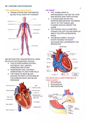 MC 1 Cardiovascular System