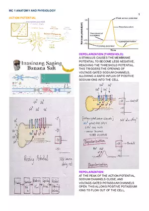 MC 1 Endocrine System